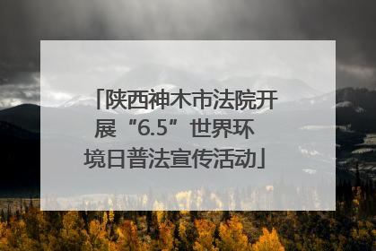 陕西神木市法院开展“6.5”世界环境日普法宣传活动