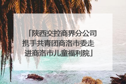 陕西交控商界分公司携手共青团商洛市委走进商洛市儿童福利院