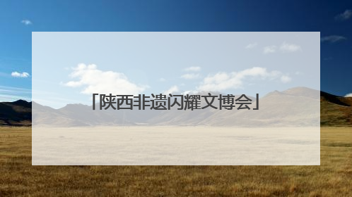 陕西非遗闪耀文博会