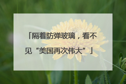隔着防弹玻璃，看不见“美国再次伟大”
