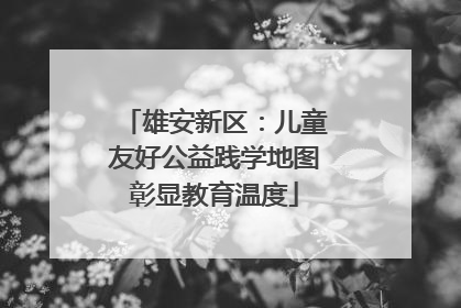 雄安新区：儿童友好公益践学地图彰显教育温度
