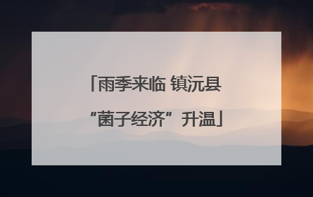 雨季来临 镇沅县“菌子经济”升温
