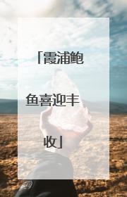 霞浦鲍鱼喜迎丰收