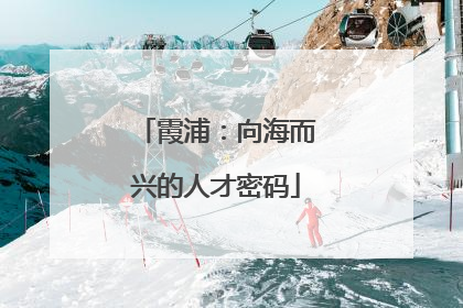 霞浦：向海而兴的人才密码
