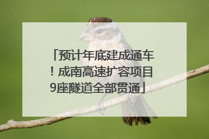 预计年底建成通车！成南高速扩容项目9座隧道全部贯通