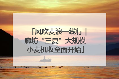 风吹麦浪一线行｜廊坊“三夏”大规模小麦机收全面开始