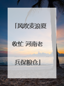 风吹麦浪夏收忙 河南老兵保粮仓