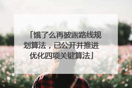 饿了么再披露路线规划算法，已公开并推进优化四项关键算法