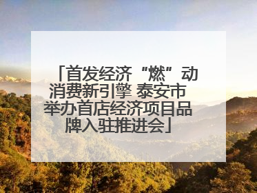 首发经济“燃”动消费新引擎 泰安市举办首店经济项目品牌入驻推进会