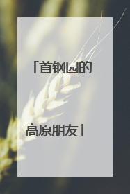 首钢园的高原朋友