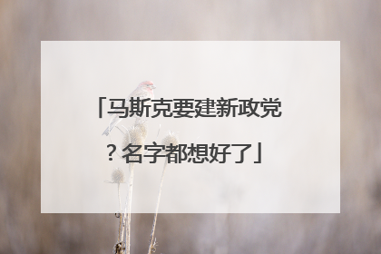 马斯克要建新政党？名字都想好了