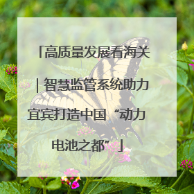 高质量发展看海关｜智慧监管系统助力宜宾打造中国“动力电池之都”