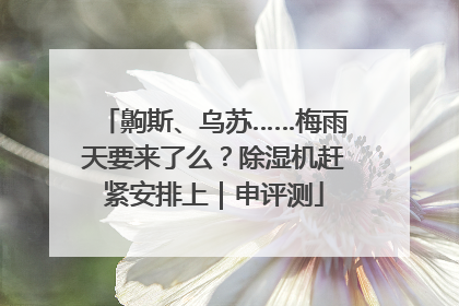 齁斯、乌苏……梅雨天要来了么？除湿机赶紧安排上｜申评测