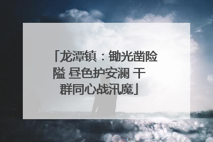 龙潭镇：锄光凿险隘 昼色护安澜 干群同心战汛魔