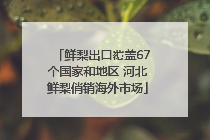 鲜梨出口覆盖67个国家和地区 河北鲜梨俏销海外市场