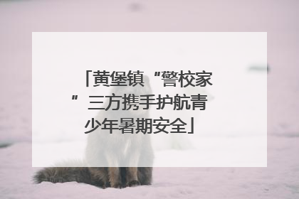 黄堡镇“警校家”三方携手护航青少年暑期安全