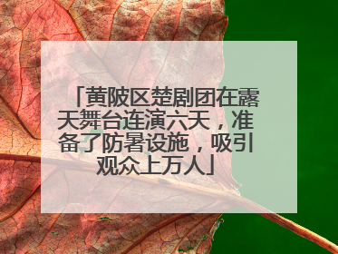 黄陂区楚剧团在露天舞台连演六天，准备了防暑设施，吸引观众上万人
