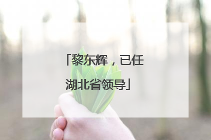 黎东辉，已任湖北省领导
