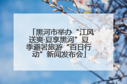 黑河市举办“江风送爽·夏享黑河”夏季避暑旅游“百日行动”新闻发布会