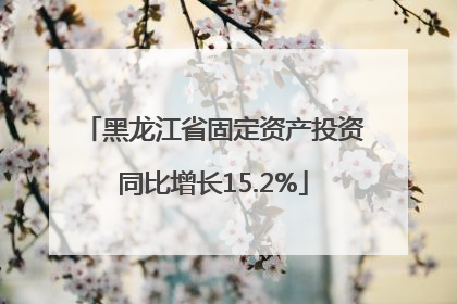 黑龙江省固定资产投资同比增长15.2%