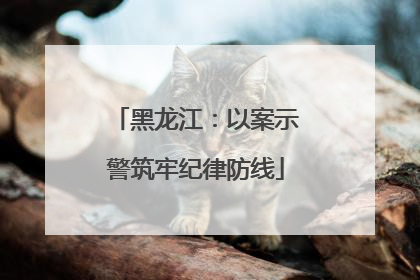 黑龙江：以案示警筑牢纪律防线