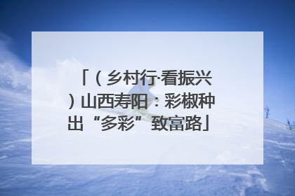 （乡村行·看振兴）山西寿阳：彩椒种出“多彩”致富路