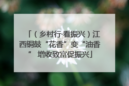 （乡村行·看振兴）江西铜鼓“花香”变“油香” 增收致富促振兴