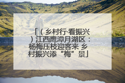 （乡村行·看振兴）江西鹰潭月湖区：杨梅压枝迎客来 乡村振兴添“梅”景