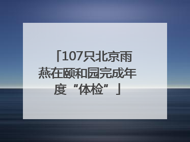 107只北京雨燕在颐和园完成年度“体检”