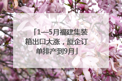 1—5月福建集装箱出口大涨，厦企订单排产到9月