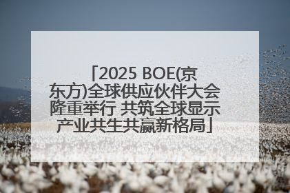 2025 BOE(京东方)全球供应伙伴大会隆重举行 共筑全球显示产业共生共赢新格局