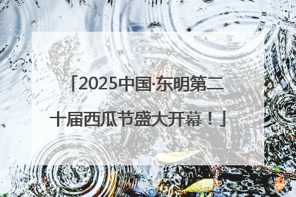 2025中国·东明第二十届西瓜节盛大开幕！
