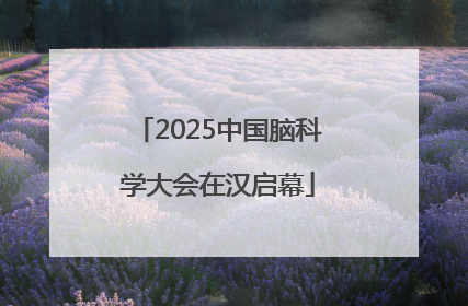 2025中国脑科学大会在汉启幕