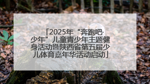2025年“奔跑吧·少年”儿童青少年主题健身活动暨陕西省第五届少儿体育嘉年华活动启动