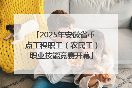 2025年安徽省重点工程职工（农民工）职业技能竞赛开幕
