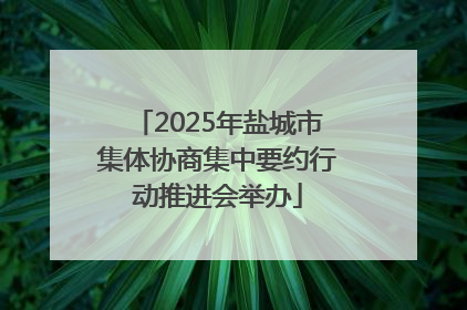 2025年盐城市集体协商集中要约行动推进会举办