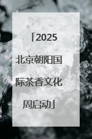 2025北京朝阳国际茶香文化周启动