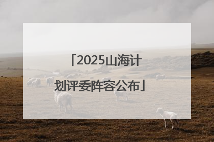 2025山海计划评委阵容公布