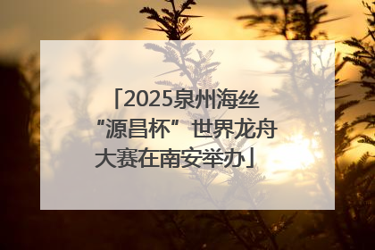 2025泉州海丝“源昌杯”世界龙舟大赛在南安举办