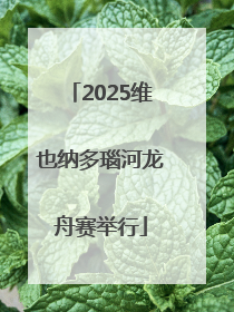 2025维也纳多瑙河龙舟赛举行