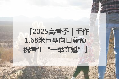 2025高考季｜手作1.68米巨型向日葵预祝考生“一举夺魁”