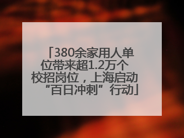 380余家用人单位带来超1.2万个校招岗位，上海启动“百日冲刺”行动