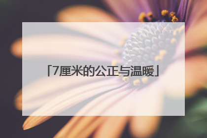 7厘米的公正与温暖