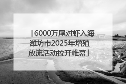 6000万尾对虾入海 潍坊市2025年增殖放流活动拉开帷幕