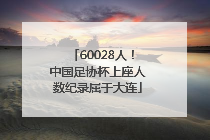 60028人！中国足协杯上座人数纪录属于大连