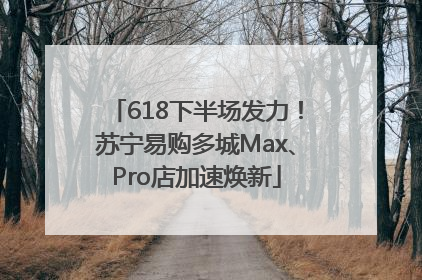 618下半场发力！苏宁易购多城Max、Pro店加速焕新