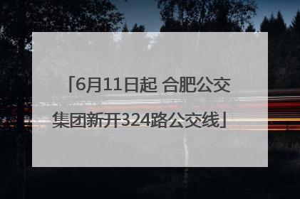 6月11日起 合肥公交集团新开324路公交线