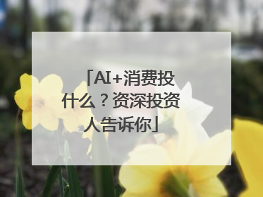 AI+消费投什么？资深投资人告诉你