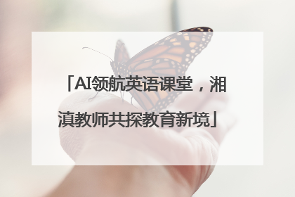 AI领航英语课堂，湘滇教师共探教育新境