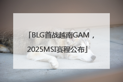 BLG首战越南GAM，2025MSI赛程公布
